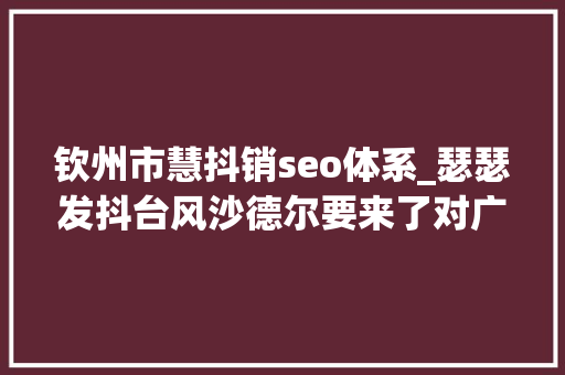 钦州市慧抖销seo体系_瑟瑟发抖台风沙德尔要来了对广西的影响是 钦州市慧抖销seo体系_瑟瑟发抖台风沙德尔要来了对广西的影响是 神马SEO
