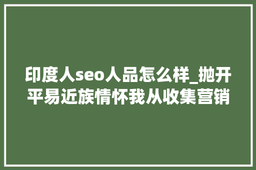 印度人seo人品怎么样_抛开平易近族情怀我从收集营销角度去看印度市场