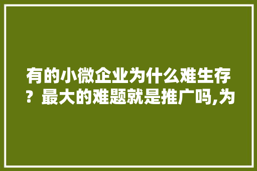 有的小微企业为什么难生存？最大的难题就是推广吗,为什么网络推广越来越难做了。 有的小微企业为什么难生存？最大的难题就是推广吗,为什么网络推广越来越难做了。 必应SEO