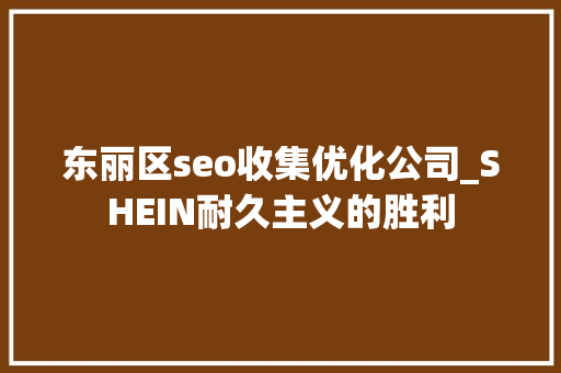 东丽区seo收集优化公司_SHEIN耐久主义的胜利 东丽区seo收集优化公司_SHEIN耐久主义的胜利 必应SEO