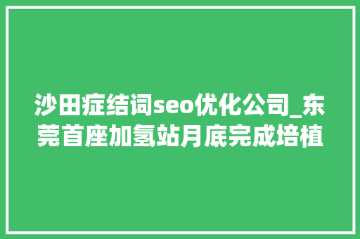 沙田症结词seo优化公司_东莞首座加氢站月底完成培植桑莱特氢项目获江苏省专项资金支持 沙田症结词seo优化公司_东莞首座加氢站月底完成培植桑莱特氢项目获江苏省专项资金支持 SEO关键词
