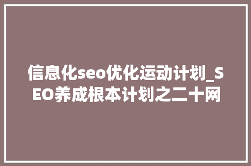 信息化seo优化运动计划_SEO养成根本计划之二十网站优化筹划 信息化seo优化运动计划_SEO养成根本计划之二十网站优化筹划 网站建设公司