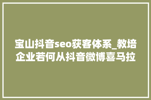 宝山抖音seo获客体系_教培企业若何从抖音微博喜马拉雅等引流至私域流量转化 宝山抖音seo获客体系_教培企业若何从抖音微博喜马拉雅等引流至私域流量转化 百度SEO