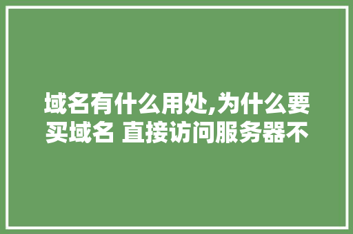 域名有什么用处,为什么要买域名 直接访问服务器不行吗。 域名有什么用处,为什么要买域名 直接访问服务器不行吗。 百度SEO