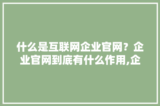 什么是互联网企业官网？企业官网到底有什么作用,企业为什么要搭建网站呢。 什么是互联网企业官网？企业官网到底有什么作用,企业为什么要搭建网站呢。 SEO关键词