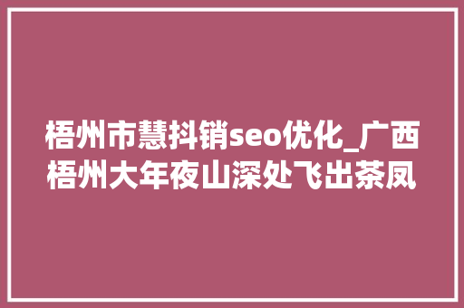 梧州市慧抖销seo优化_广西梧州大年夜山深处飞出茶凤凰千年六堡茶成致富黄金叶 梧州市慧抖销seo优化_广西梧州大年夜山深处飞出茶凤凰千年六堡茶成致富黄金叶 百度SEO