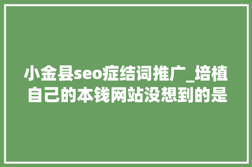 小金县seo症结词推广_培植自己的本钱网站没想到的是竟然有收益进账你也可以复制 小金县seo症结词推广_培植自己的本钱网站没想到的是竟然有收益进账你也可以复制 必应SEO
