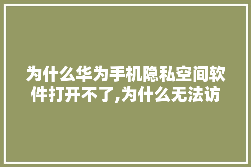 为什么华为手机隐私空间软件打开不了,为什么无法访问空间权限。 为什么华为手机隐私空间软件打开不了,为什么无法访问空间权限。 SEO关键词