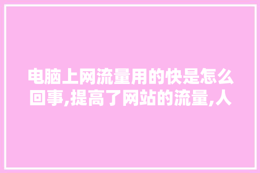 电脑上网流量用的快是怎么回事,提高了网站的流量,人气。 电脑上网流量用的快是怎么回事,提高了网站的流量,人气。 SEO关键词