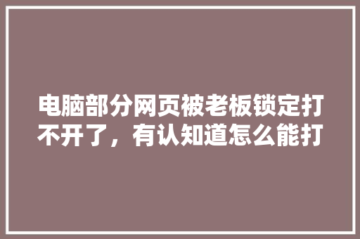 电脑部分网页被老板锁定打不开了，有认知道怎么能打开吗,公司网站为什么上不去了。 电脑部分网页被老板锁定打不开了，有认知道怎么能打开吗,公司网站为什么上不去了。 搜狗SEO
