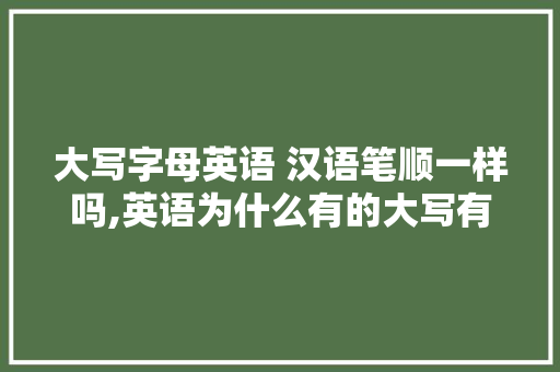 大写字母英语 汉语笔顺一样吗,英语为什么有的大写有的小写。 大写字母英语 汉语笔顺一样吗,英语为什么有的大写有的小写。 必应SEO