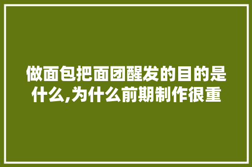 做面包把面团醒发的目的是什么,为什么前期制作很重要呢。 做面包把面团醒发的目的是什么,为什么前期制作很重要呢。 SEO关键词