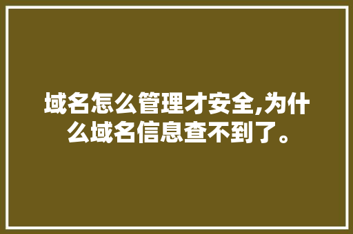 域名怎么管理才安全,为什么域名信息查不到了。 域名怎么管理才安全,为什么域名信息查不到了。 网站建设公司