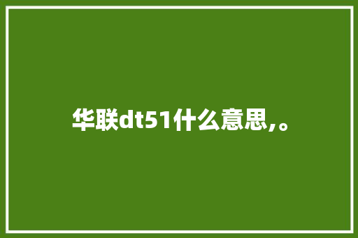 华联dt51什么意思,。 华联dt51什么意思,。 搜狗SEO