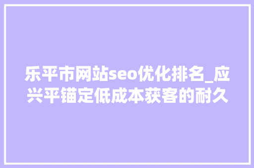 乐平市网站seo优化排名_应兴平锚定低成本获客的耐久主义者