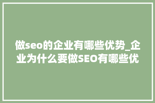 做seo的企业有哪些优势_企业为什么要做SEO有哪些优势 做seo的企业有哪些优势_企业为什么要做SEO有哪些优势 百度SEO
