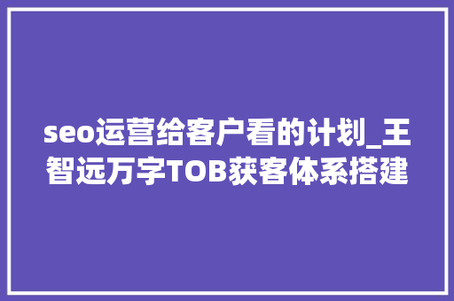 seo运营给客户看的计划_王智远万字TOB获客体系搭建指南 seo运营给客户看的计划_王智远万字TOB获客体系搭建指南 SEO关键词