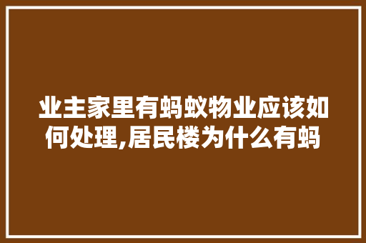 业主家里有蚂蚁物业应该如何处理,居民楼为什么有蚂蚁呢。 业主家里有蚂蚁物业应该如何处理,居民楼为什么有蚂蚁呢。 神马SEO