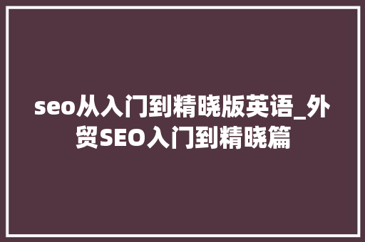 seo从入门到精晓版英语_外贸SEO入门到精晓篇
