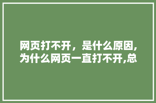 网页打不开，是什么原因,为什么网页一直打不开,总是在转圈。 网页打不开，是什么原因,为什么网页一直打不开,总是在转圈。 网站建设公司