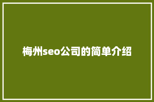 梅州seo公司的简单介绍 梅州seo公司的简单介绍 网站建设公司