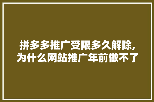 拼多多推广受限多久解除,为什么网站推广年前做不了。 拼多多推广受限多久解除,为什么网站推广年前做不了。 百度SEO