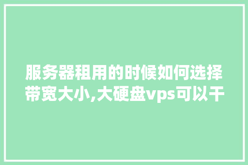 服务器租用的时候如何选择带宽大小,大硬盘vps可以干嘛。 服务器租用的时候如何选择带宽大小,大硬盘vps可以干嘛。 神马SEO