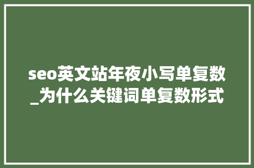 seo英文站年夜小写单复数_为什么关键词单复数形式排名不一样 seo英文站年夜小写单复数_为什么关键词单复数形式排名不一样 百度SEO