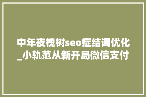 中年夜槐树seo症结词优化_小轨范从新开局微信支付宝重押搜索 中年夜槐树seo症结词优化_小轨范从新开局微信支付宝重押搜索 SEO关键词