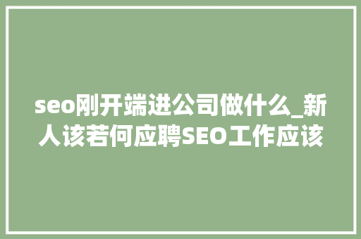 seo刚开端进公司做什么_新人该若何应聘SEO工作应该怎么做 seo刚开端进公司做什么_新人该若何应聘SEO工作应该怎么做 必应SEO