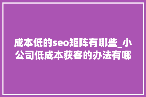 成本低的seo矩阵有哪些_小公司低成本获客的办法有哪些 成本低的seo矩阵有哪些_小公司低成本获客的办法有哪些 百度SEO
