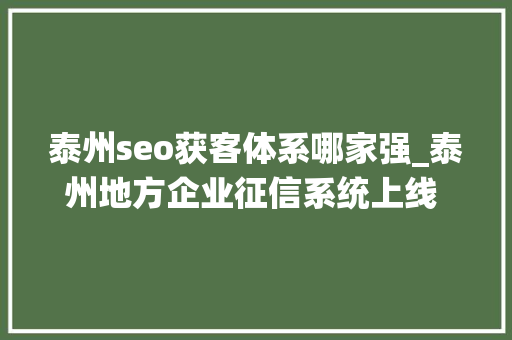 泰州seo获客体系哪家强_泰州地方企业征信系统上线 为中小企业融资供应增信服务 泰州seo获客体系哪家强_泰州地方企业征信系统上线 为中小企业融资供应增信服务 必应SEO