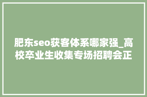 肥东seo获客体系哪家强_高校卒业生收集专场招聘会正在报名 肥东seo获客体系哪家强_高校卒业生收集专场招聘会正在报名 网站建设公司