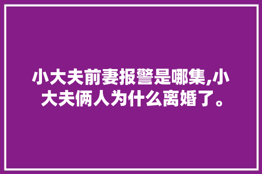 小大夫前妻报警是哪集,小大夫俩人为什么离婚了。 小大夫前妻报警是哪集,小大夫俩人为什么离婚了。 百度SEO