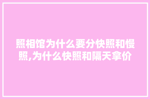 照相馆为什么要分快照和慢照,为什么快照和隔天拿价格差这么大。 照相馆为什么要分快照和慢照,为什么快照和隔天拿价格差这么大。 网站建设公司