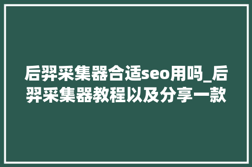 后羿采集器合适seo用吗_后羿采集器教程以及分享一款小白运用免费自动采集宣告对象