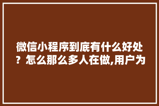 微信小程序到底有什么好处？怎么那么多人在做,用户为什么要做小程序呢。 微信小程序到底有什么好处？怎么那么多人在做,用户为什么要做小程序呢。 神马SEO