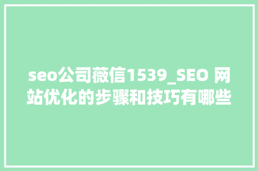 seo公司薇信1539_SEO 网站优化的步骤和技巧有哪些 seo公司薇信1539_SEO 网站优化的步骤和技巧有哪些 百度SEO