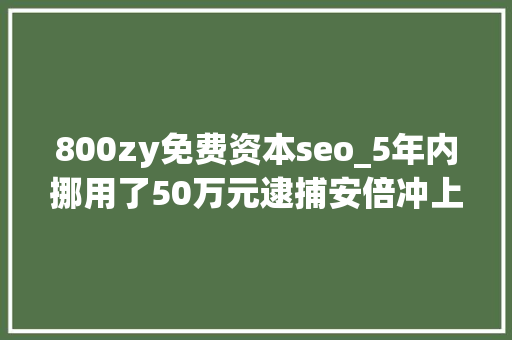 800zy免费资本seo_5年内挪用了50万元逮捕安倍冲上日本热搜 800zy免费资本seo_5年内挪用了50万元逮捕安倍冲上日本热搜 网站建设公司