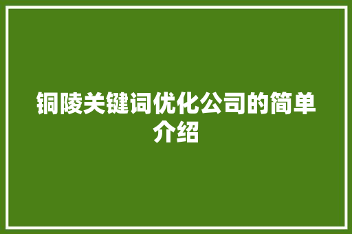 铜陵关键词优化公司的简单介绍 铜陵关键词优化公司的简单介绍 SEO关键词
