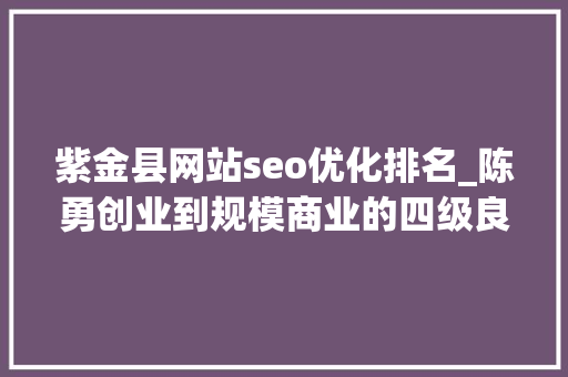 紫金县网站seo优化排名_陈勇创业到规模商业的四级良性增长引擎 紫金县网站seo优化排名_陈勇创业到规模商业的四级良性增长引擎 网站建设公司