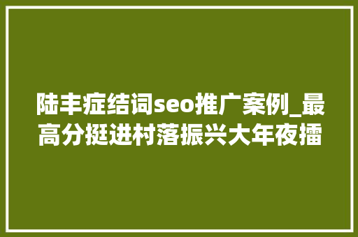 陆丰症结词seo推广案例_最高分挺进村落振兴大年夜擂台6强陆丰靠什么