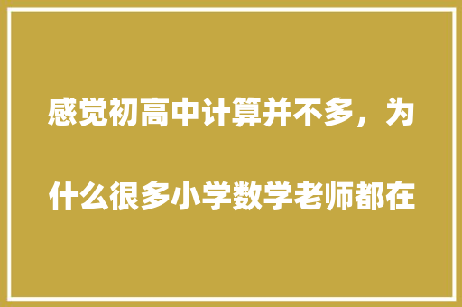 感觉初高中计算并不多，为什么很多小学数学老师都在说口算很重要？
,代数式不会怎么办。