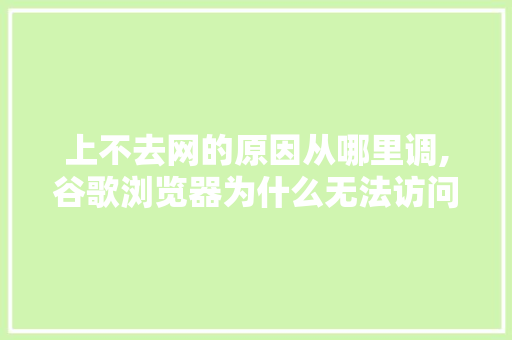 上不去网的原因从哪里调,谷歌浏览器为什么无法访问网站。 上不去网的原因从哪里调,谷歌浏览器为什么无法访问网站。 百度SEO