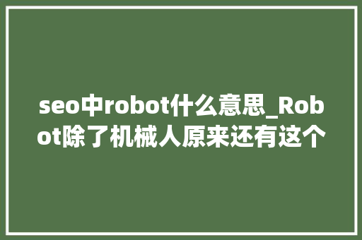 seo中robot什么意思_Robot除了机械人原来还有这个意思你知道吗 seo中robot什么意思_Robot除了机械人原来还有这个意思你知道吗 SEO关键词