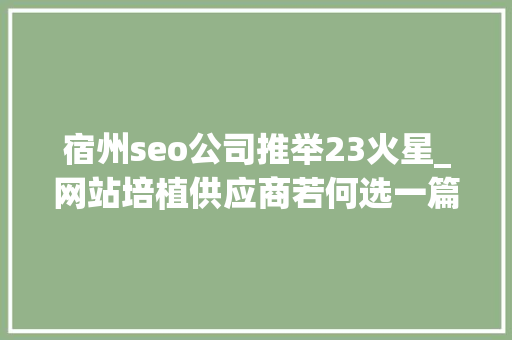 宿州seo公司推举23火星_网站培植供应商若何选一篇内容整明白了 宿州seo公司推举23火星_网站培植供应商若何选一篇内容整明白了 网站建设公司