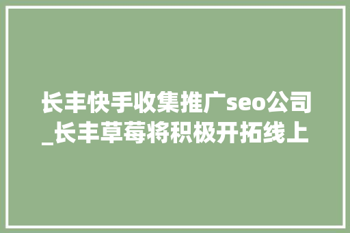 长丰快手收集推广seo公司_长丰草莓将积极开拓线上模式专访长丰农业技能推广中央杨晓虎