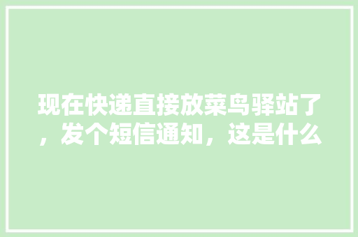 现在快递直接放菜鸟驿站了，发个短信通知，这是什么情况,。 现在快递直接放菜鸟驿站了，发个短信通知，这是什么情况,。 神马SEO