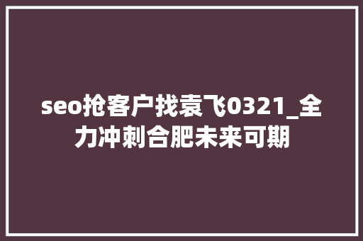 seo抢客户找袁飞0321_全力冲刺合肥未来可期 seo抢客户找袁飞0321_全力冲刺合肥未来可期 网站建设公司