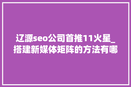 辽源seo公司首推11火星_搭建新媒体矩阵的方法有哪些一键分发平台有哪些 辽源seo公司首推11火星_搭建新媒体矩阵的方法有哪些一键分发平台有哪些 百度SEO